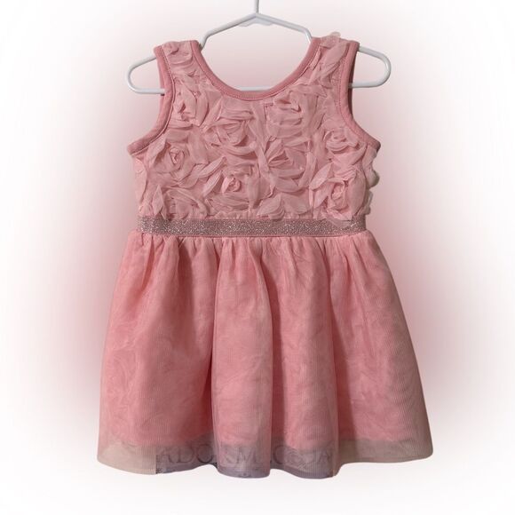 18-24m pink rose dress by the children’s place- worn 1 time - Picture 1 of 2